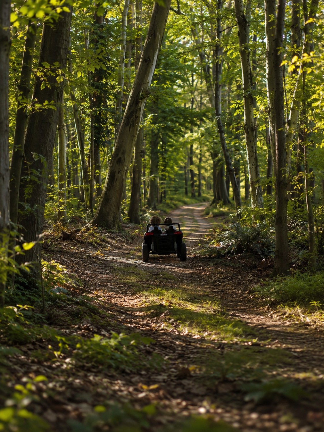 Het privébos van de Country Club — St. Hubert Horse & Country Club, Hoogboom