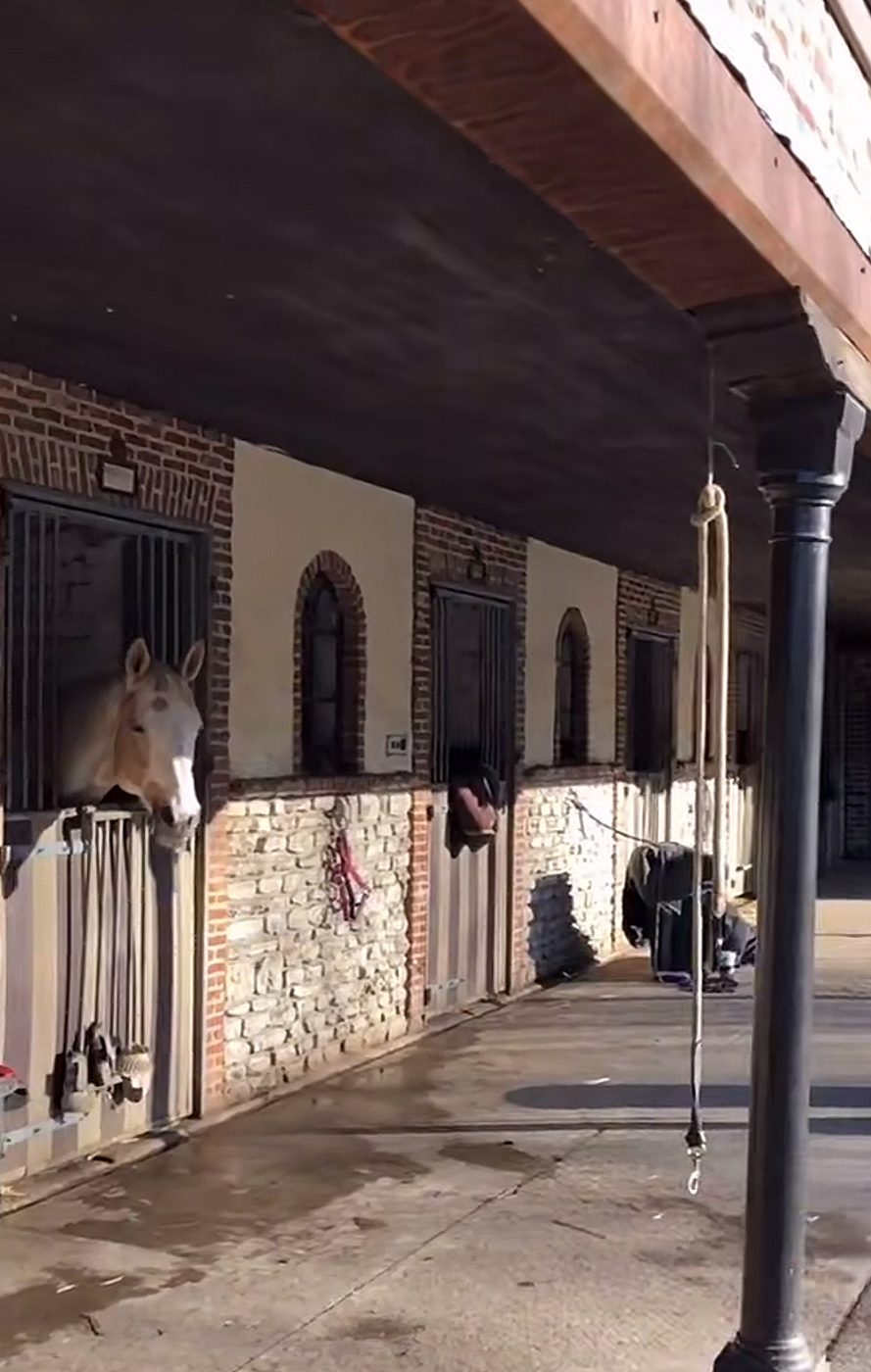 Paardenstallen op het domein St. Hubert in Hoogboom