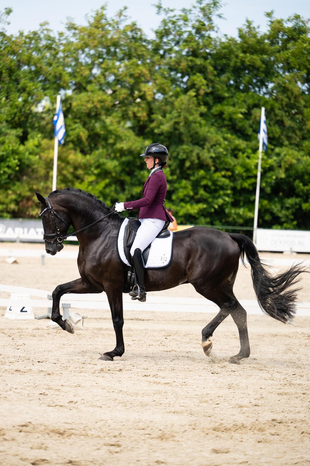 Dressuurruiter in harmonie met haar paard — St. Hubert Horse & Country Club, Hoogboom