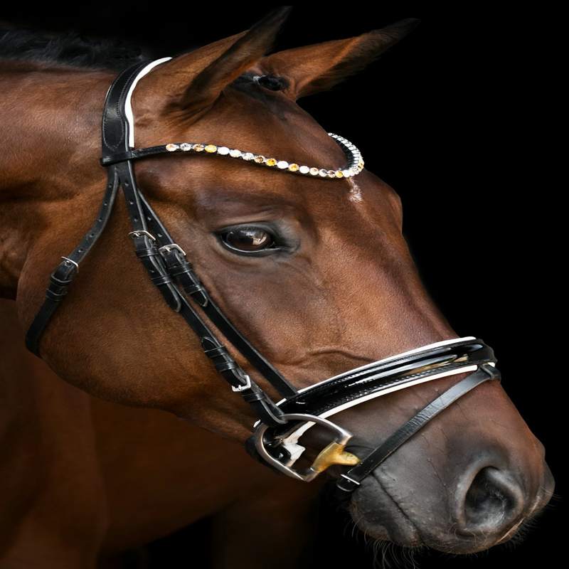 Voor de veiling